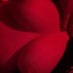 Photo_1750449717144