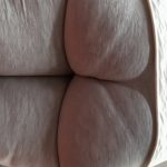 pjhdsSc